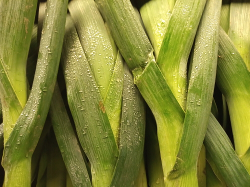 stalks of green leeks